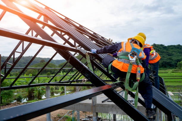 Roof Gutter Cleaning in Biscoe, NC
