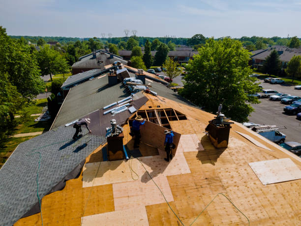 Best Metal Roofing Contractor  in Biscoe, NC