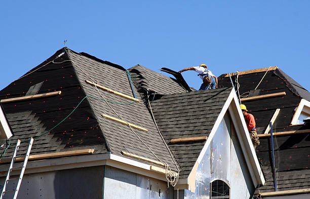 Best Storm Damage Roof Repair  in Biscoe, NC