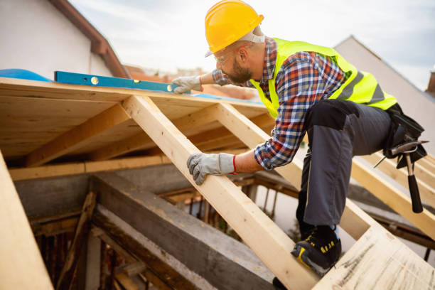 Best Roof Repair Services  in Biscoe, NC