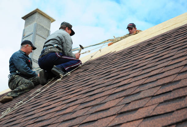 Best Roof Repair Services  in Biscoe, NC