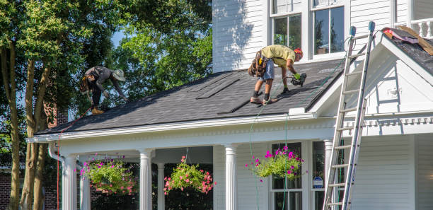 Best Roof Gutter Cleaning  in Biscoe, NC